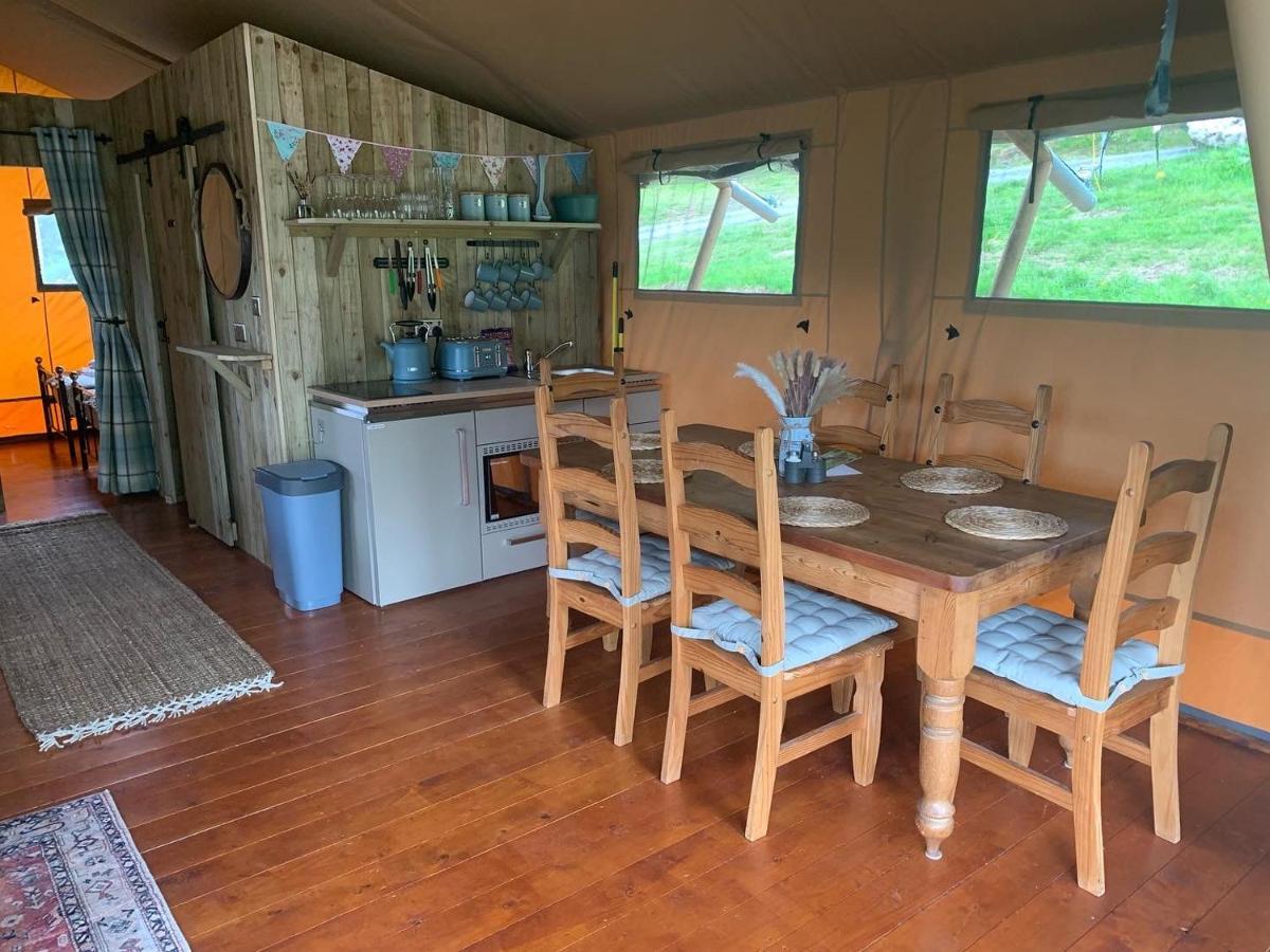 Mountain View Safari Tent With Hot Tub In The Heart Of Snowdonia Dolgellau Extérieur photo
