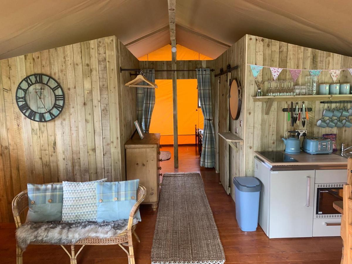 Mountain View Safari Tent With Hot Tub In The Heart Of Snowdonia Dolgellau Extérieur photo