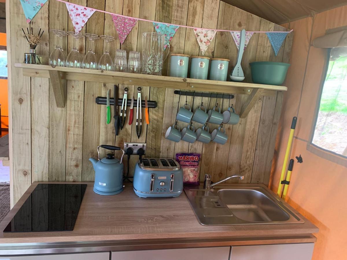 Mountain View Safari Tent With Hot Tub In The Heart Of Snowdonia Dolgellau Extérieur photo