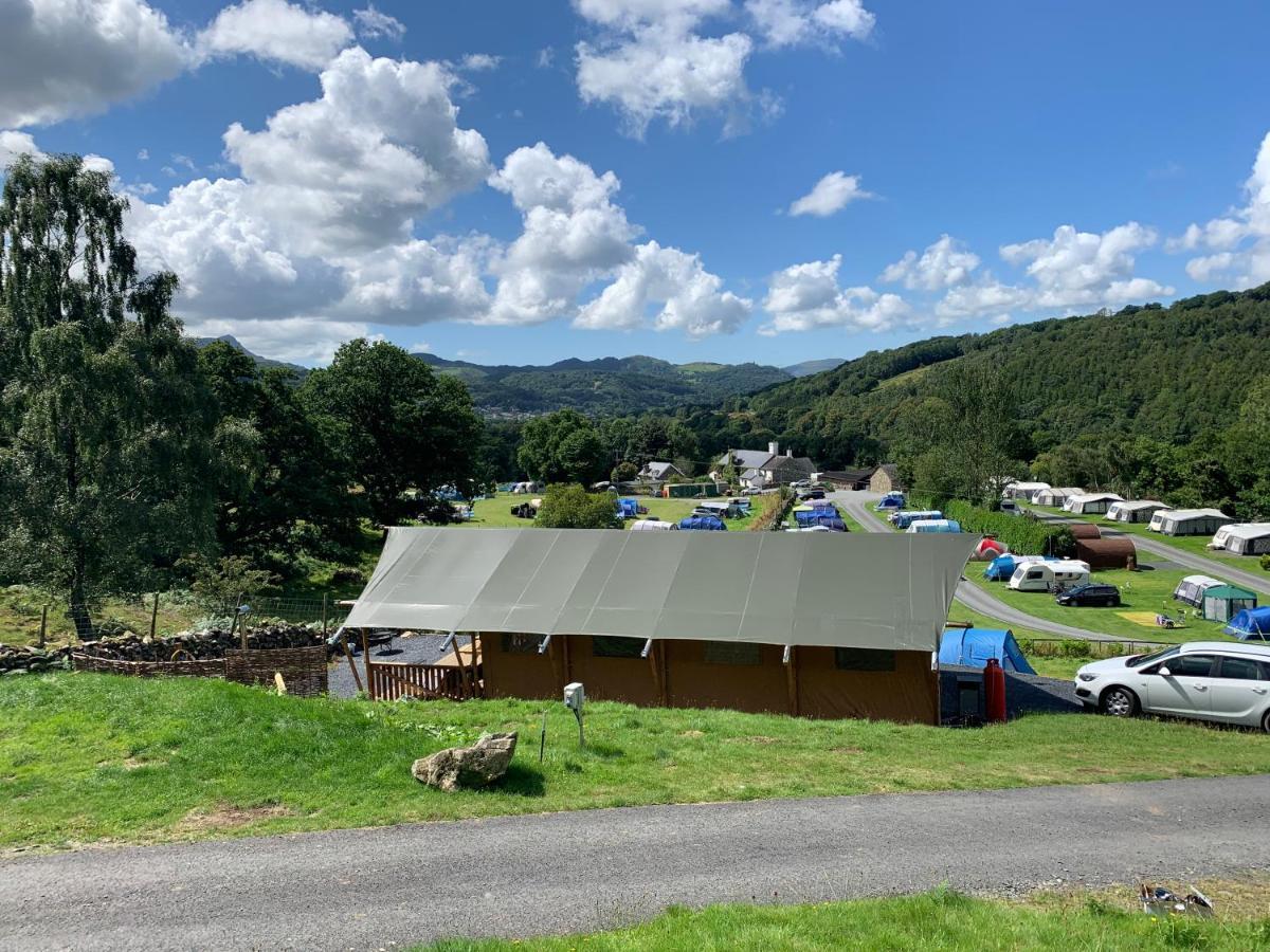 Mountain View Safari Tent With Hot Tub In The Heart Of Snowdonia Dolgellau Extérieur photo