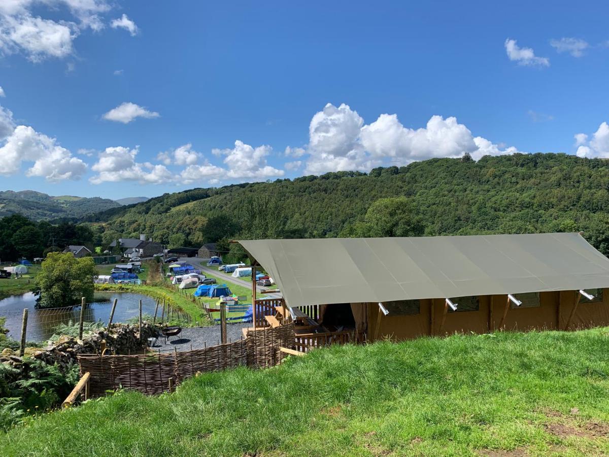 Mountain View Safari Tent With Hot Tub In The Heart Of Snowdonia Dolgellau Extérieur photo