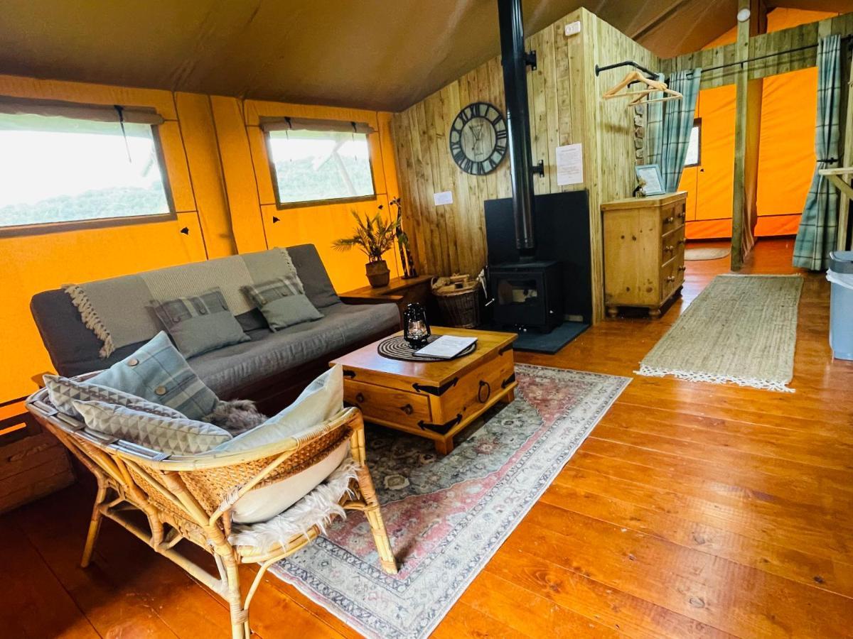 Mountain View Safari Tent With Hot Tub In The Heart Of Snowdonia Dolgellau Extérieur photo